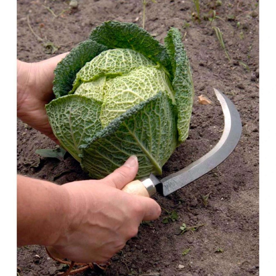 Tools * | Burgon & Ball Vegetable Harvesting Knife