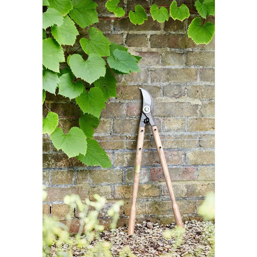 Tools * | Burgon & Ball Sophie Conran Garden Lopper