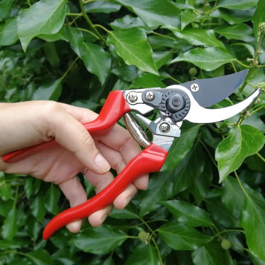 Tools * | Burgon & Ball Left-Handed Bypass Secateurs Rhs Endorsed