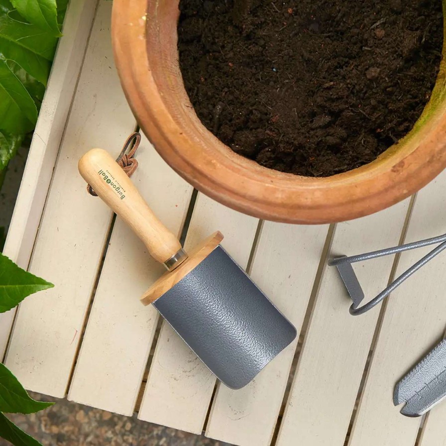 Tools * | Burgon And Ball Container Scoop Rhs-Endorsed