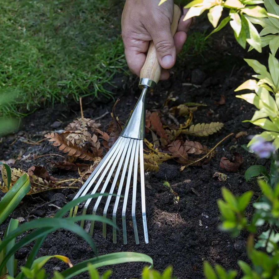 Tools * | Burgon & Ball Shrub Rake Rhs Endorsed