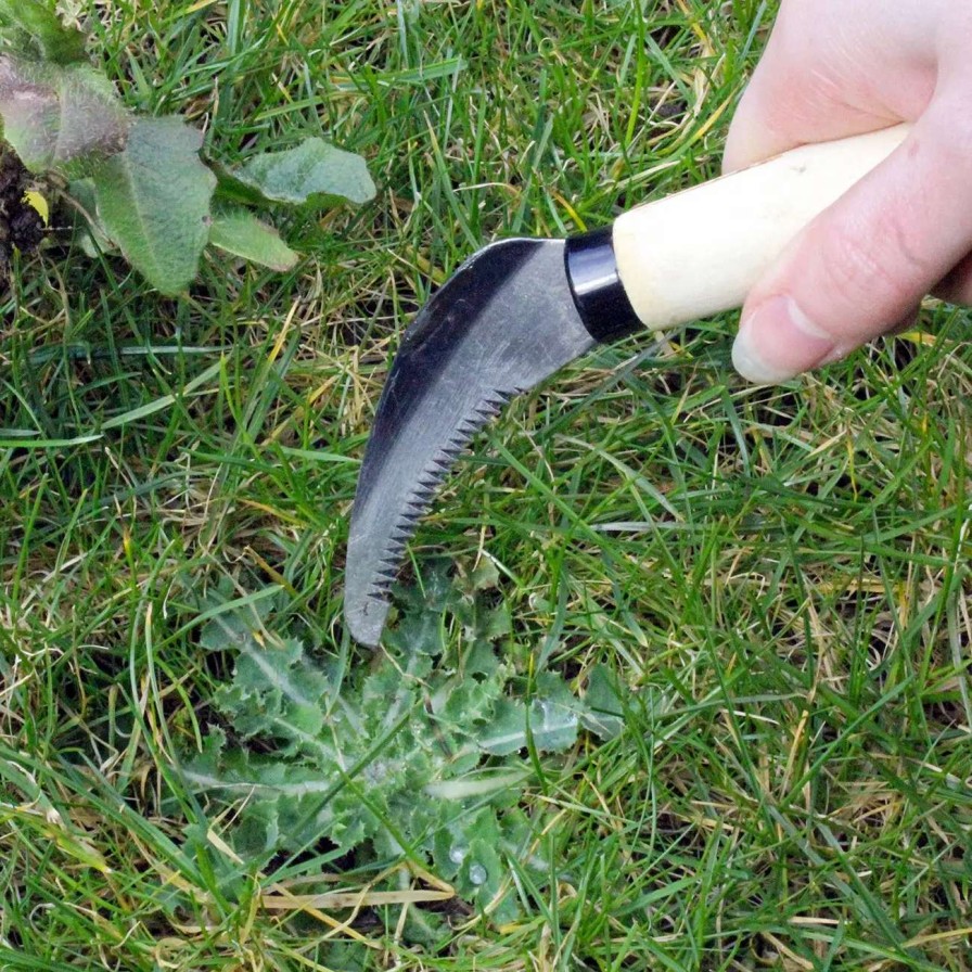 Tools * | Burgon & Ball Lawn Weeding Knife