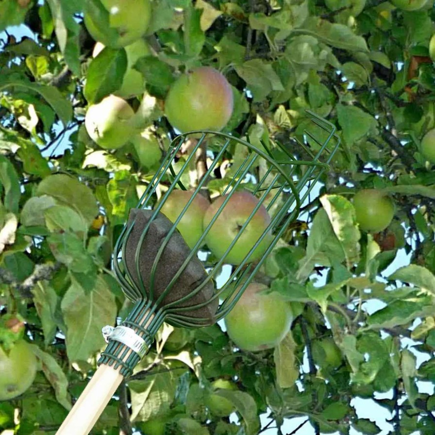 Tools * | Burgon & Ball Apple Picker