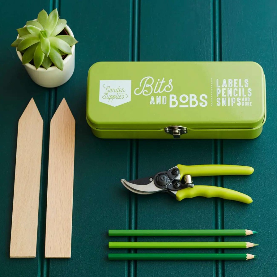 Collections * | Burgon And Ball Bits And Bobs Storage Tin Gooseberry