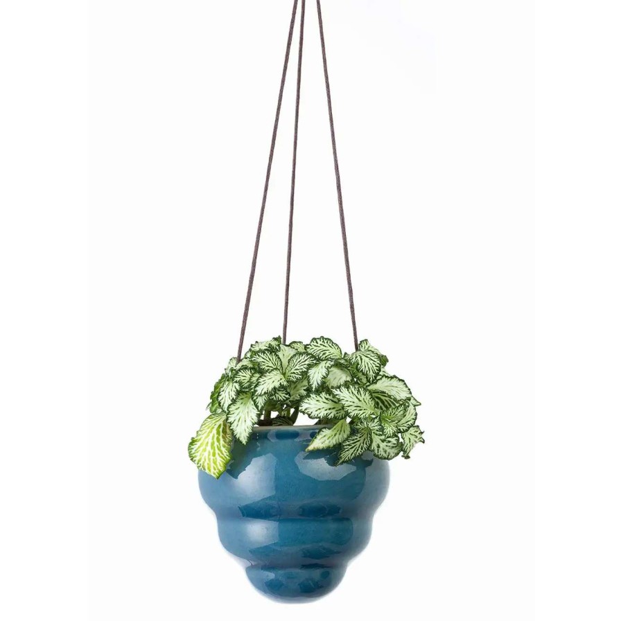 Collections * | Burgon & Ball Bombini Hanging Pot Trio