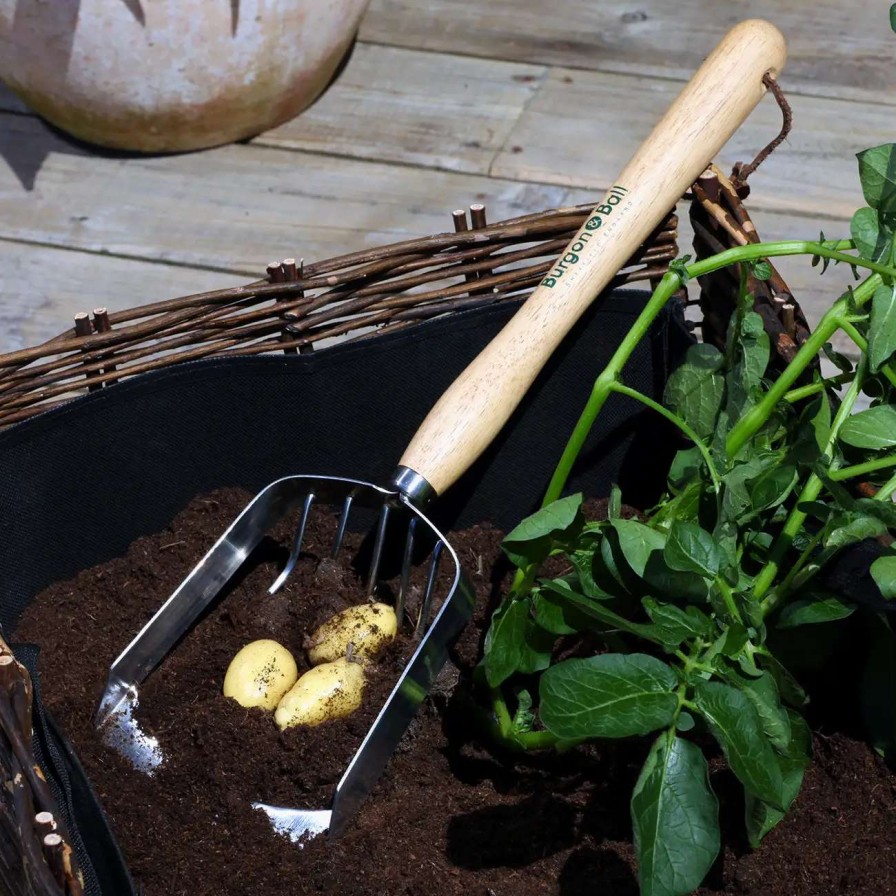 Tools * | Burgon & Ball Potato Harvesting Scoop Rhs Endorsed