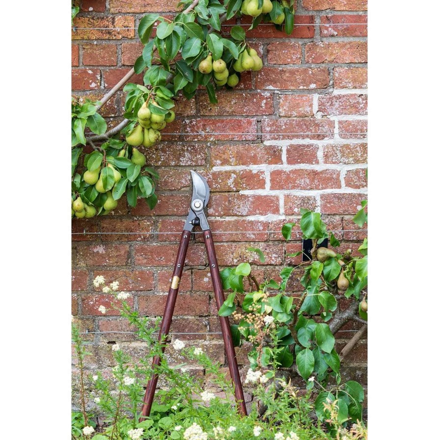 Tools * | Burgon & Ball Lopper National Trust